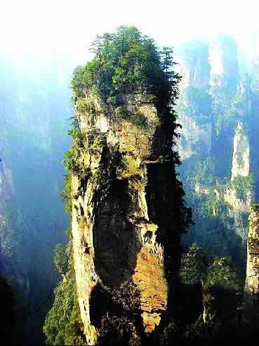 張家界國家地質(zhì)森林公園、黃石寨、金鞭溪休閑一日游